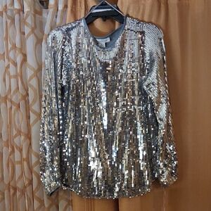 Skye's the Limit Silver Sequin Crewneck Top